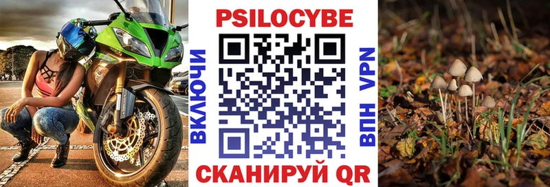 MEGA зеркало Абакан Галлюциногенные грибы Magic Shrooms наркотики